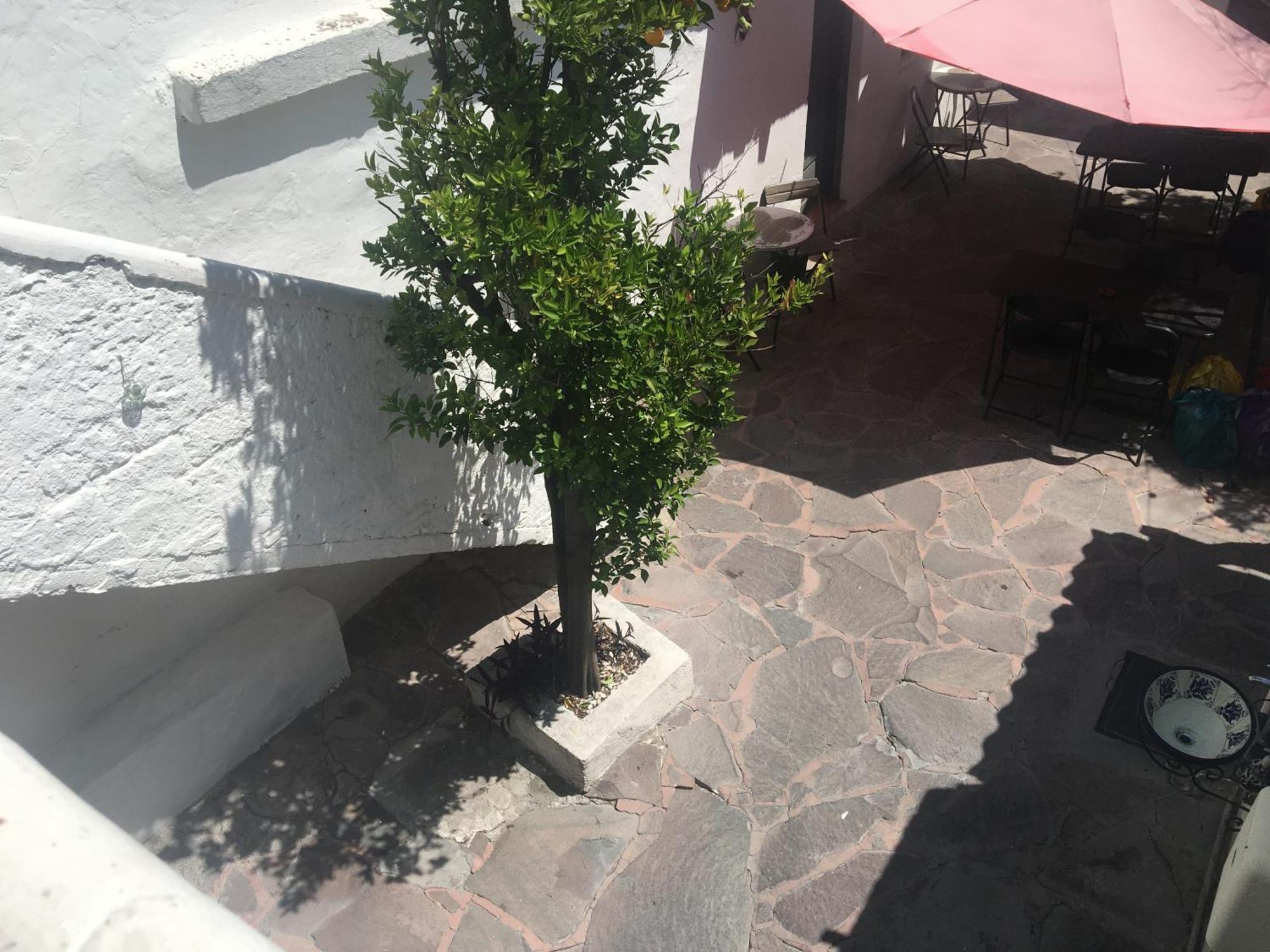 PATIO Alojamiento y Comida San Miguel de Allende Exterior foto